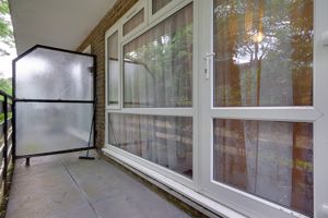 Patio- click for photo gallery